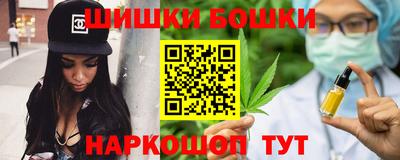 индика Гай