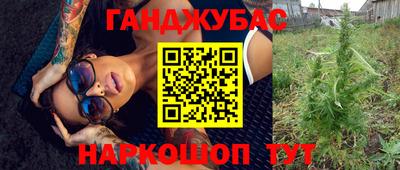 индика Гай