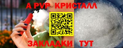 индика Гай