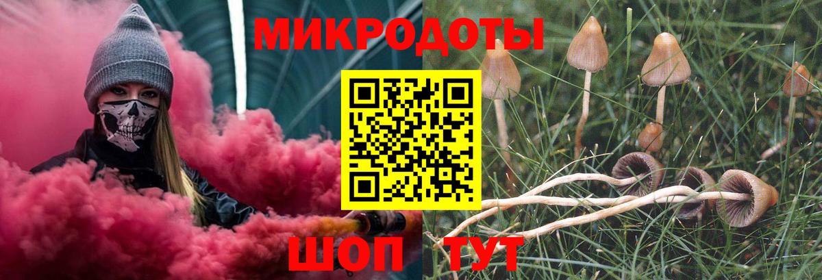 Псилоцибиновые грибы GOLDEN TEACHER Удомля