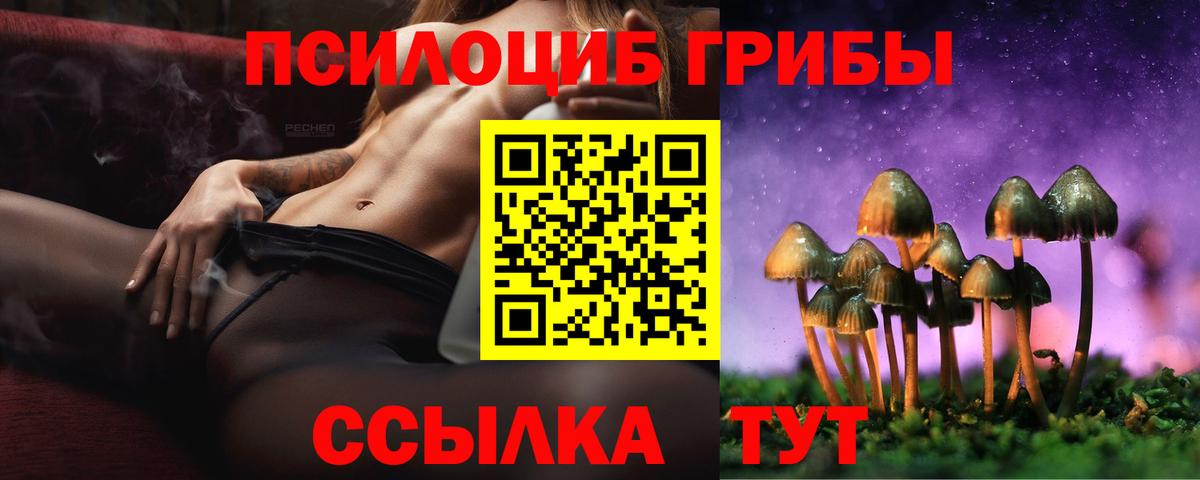 Удомля  Псилоцибиновые грибы мицелий  Вход с VPN 